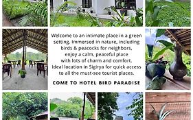 Bird Paradise